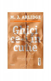 Ghici ce-i &icirc;n cutie (Vol. 2) - Paperback brosat - M.J. Arlidge - Trei