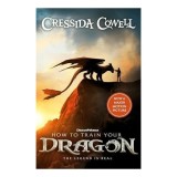 How to Train Your Dragon
