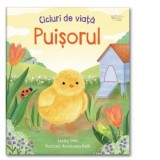 Cicluri de viata. Puisorul (Usborne) - Usborne Books