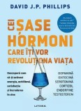 Cei sase hormoni care iti vor revolutiona viata