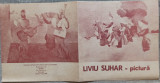 Expozitie pictura Liviu Suhar 1978