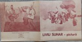 Expozitie pictura Liviu Suhar 1978