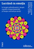 Lucrand cu emotia in terapia psihodinamica, terapia cognitiv-comportamentala și terapia centrata pe emotii, Trei