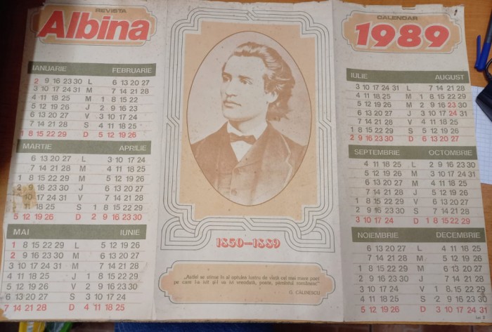 AMS @ - CALENDAR ALBINA ANUL 1989