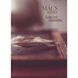 &Eacute;gig &eacute;rő palat&aacute;bla - M&aacute;cs J&oacute;zsef