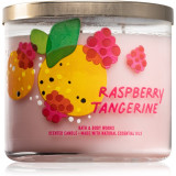 Cumpara ieftin Bath &amp; Body Works Raspberry Tangerine lum&acirc;nare parfumată 411 g