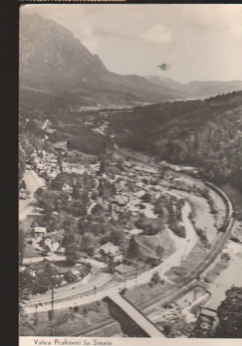 CPIB 22531 - CARTE POSTAL - VALEA PRAHOVEI LA SINAIA, RPR