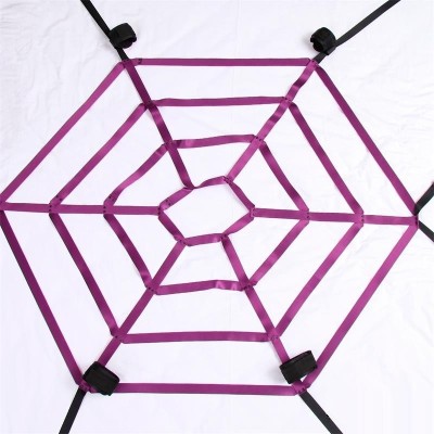 Set catuse Spider Web Bed Strap Mov/Negru foto