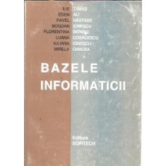 Bazele informaticii - Ilie Tamas