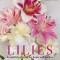 Lilies: Beautiful Varieties for Home and Garden