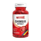 Ghimbir Extract 60 capsule Adnatura, Adserv