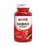 Ghimbir Extract 60 capsule Adnatura