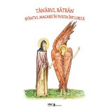 Tanarul batran. Sfantul Macarie in pustia inflorita - Petru Vornic