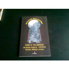 MARILE CALAMITATI DIN ISTORIA ORASULUI - CUTREMURE, INCENDII, INUNDATII, EPIDEMII - DAN SILVIU BOERESCU