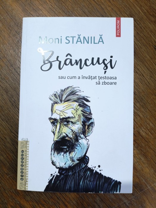 Brancusi sau cum a invatat testoasa sa zboare - Moni Stanila / R2P5F