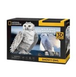 Cumpara ieftin Puzzle 3D Bufnita polara, 62 piese