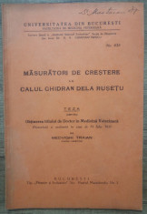 Masuratori de crestere la Calul Ghidran de la Rusetu/ 1937 foto