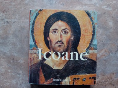 ICOANE, 2007 foto