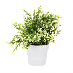 Planta artificiala decorativa, cu frunze ascutite verde cu alb, H 24 cm, in ghiveci plastic alb, 8.5x9cm foto