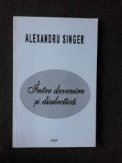 INTRE DEVENIRE SI DIALECTICA - ALEXANDRU SINGER foto