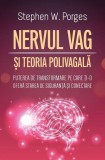 Nervul Vag și Teoria Polivagală - Paperback brosat - Stephen W. Porges - Herald