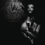 Stab Wounds - Vinyl | Dark Fortress, Rock