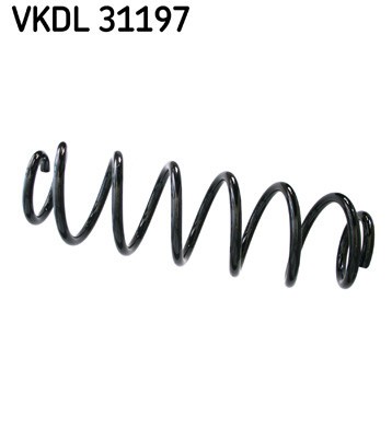 SKF VKDL 31197 Arc spiral