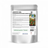 Fertilizant foliar pentru legume Asco HA 500 g, CHRD