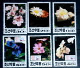 Korea 1991 flori plante orhidee flora serie 6v neștampilată, Nestampilat