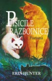 Cumpara ieftin Pisicile razboinice Vol. 4: Furtuna