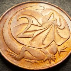 Moneda exotica 2 CENTI - AUSTRALIA, anul 1966 * cod 3894 = patina