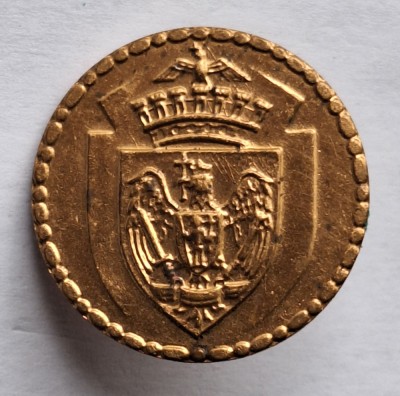 Municipiul Bucuresti, insigna stema - heraldica foto