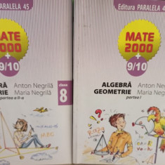 Anton Negrila - Algebra, geometrie clasa a VIII-a partea I si II (2000)