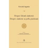 Despre folosul casatoriei. Despre casatorie si pofta pacatoasa - Fericitul Augustin