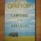 Campionul din Arkansas- John Grisham