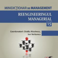Minidictionar de management 15: Reengineeringul managerial - Ovidiu Nicolescu