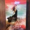Stăp&acirc;nul jocului - Sidney Sheldon