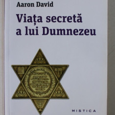 VIATA SECRETA A LUI DUMNEZEU de AARON DAVID , 2013