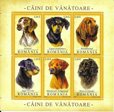 Romania 2005 - Caini de vanatoare, bloc de 6, MNH, LP1694a foto
