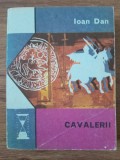 Ioan Dan Cavalerii