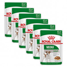 Plicule? Royal Canin Mini Adult 6 x 85 g foto