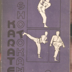 Karate Shotokan-Ion Stefan