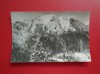 CARTE POSTALA - RPR - MUNTII BUCEGI - BUCSOIUL, Circulata, Fotografie