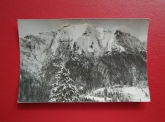 CARTE POSTALA - RPR - MUNTII BUCEGI - BUCSOIUL