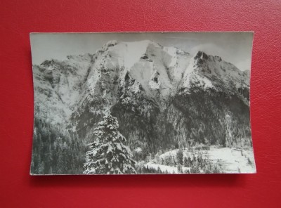 CARTE POSTALA - RPR - MUNTII BUCEGI - BUCSOIUL foto