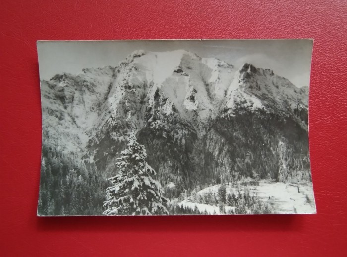 CARTE POSTALA - RPR - MUNTII BUCEGI - BUCSOIUL