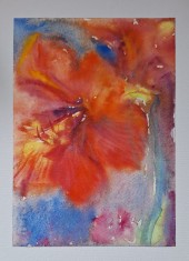 Pictura in acuarela neinramata - flori rosii si portocalii, nesemnata, 17x24 cm foto