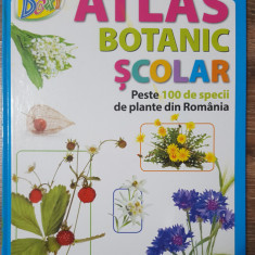 Atlas botanic școlar - Paulina Anastasiu