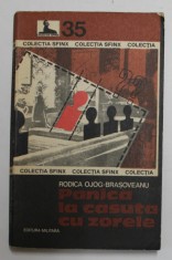 PANICA LA CASUTA CU ZORELE de RODICA OJOG BRASOVEANU , 1977 foto