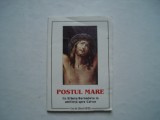 Postul Mare. Cu Sfanta Bernadeta in umilita spre Calvar (romano-catolic)